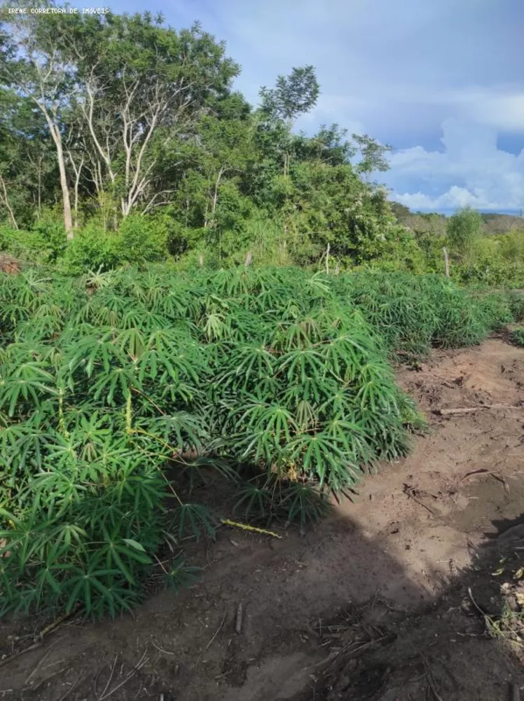 Fazenda à venda, 1160000m² - Foto 5