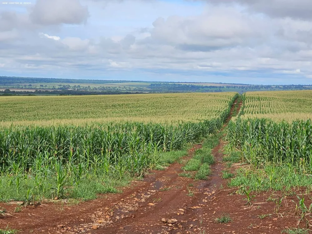 Fazenda à venda, 13810m² - Foto 4