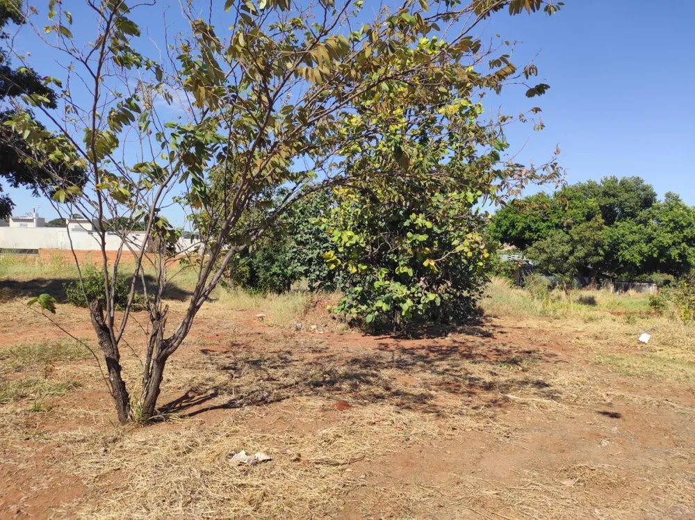 Terreno, 360 m² - Foto 3
