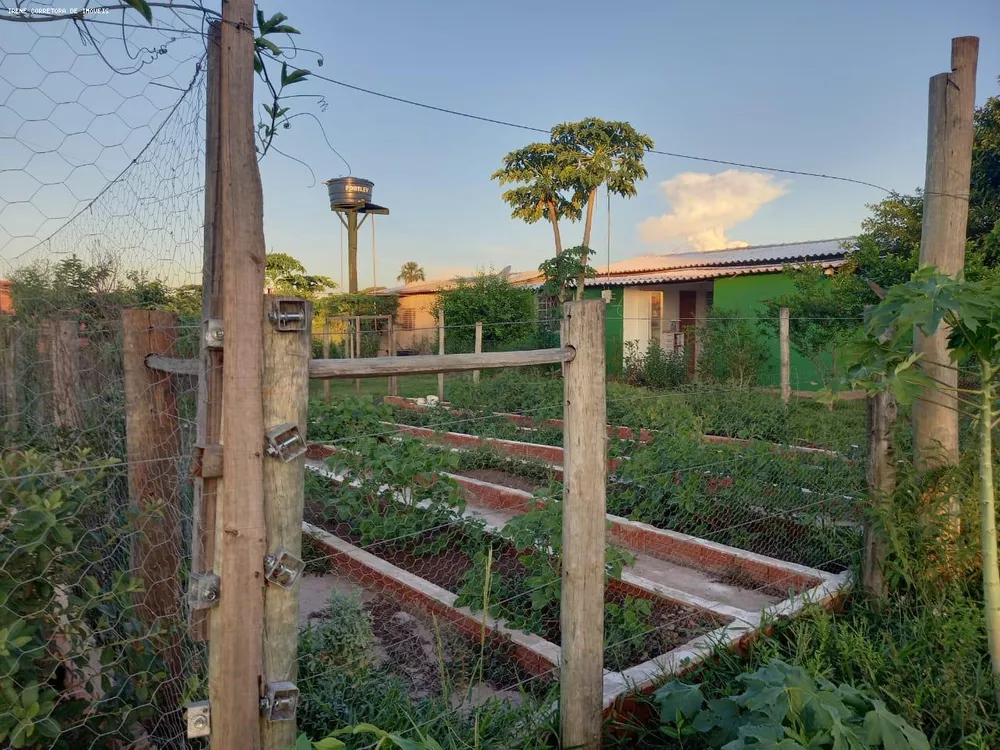 Fazenda à venda, 10700m² - Foto 4