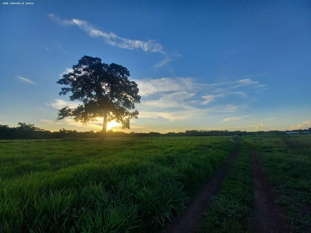 Fazenda à venda, 10700m² - Foto 1