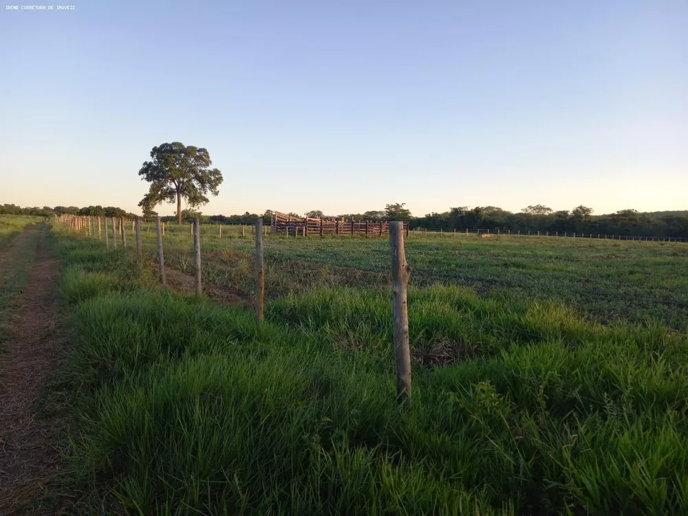 Fazenda à venda, 10700m² - Foto 3