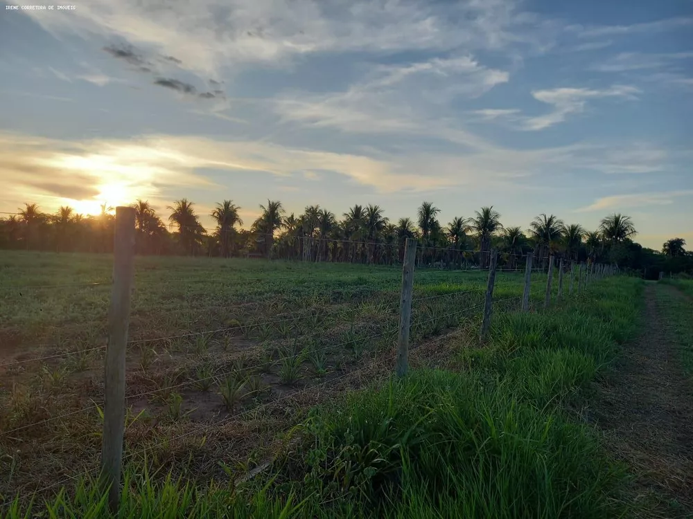 Fazenda à venda, 10700m² - Foto 2