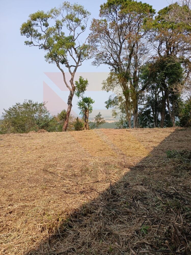 Terreno, 1000 m² - Foto 3