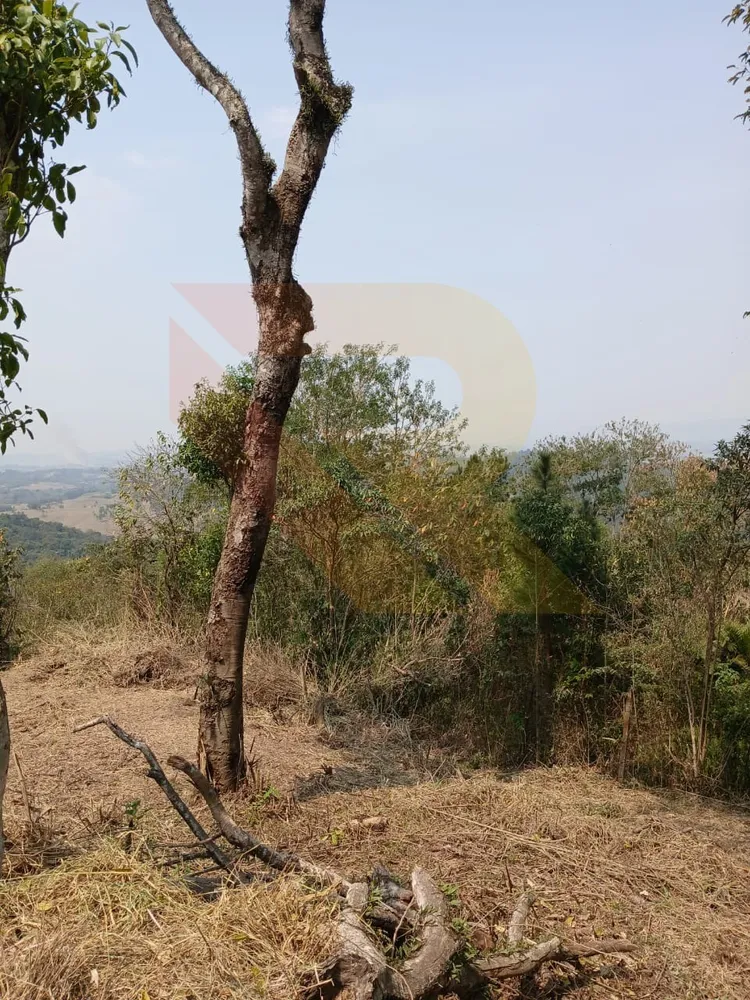 Terreno, 1000 m² - Foto 4