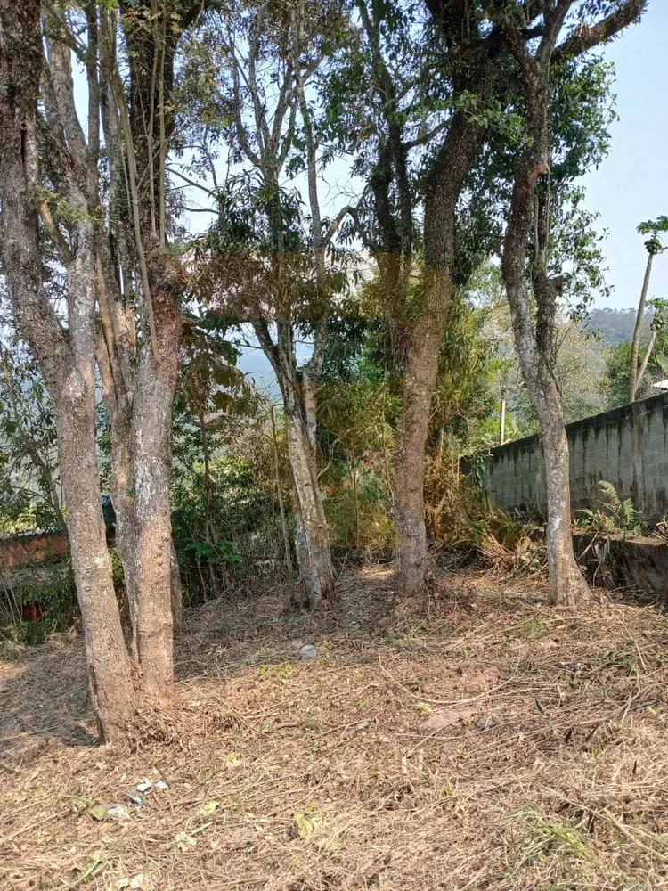 Terreno, 1000 m² - Foto 2