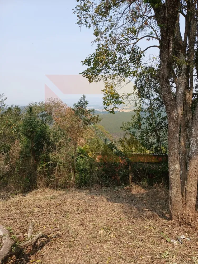 Terreno, 1000 m² - Foto 3