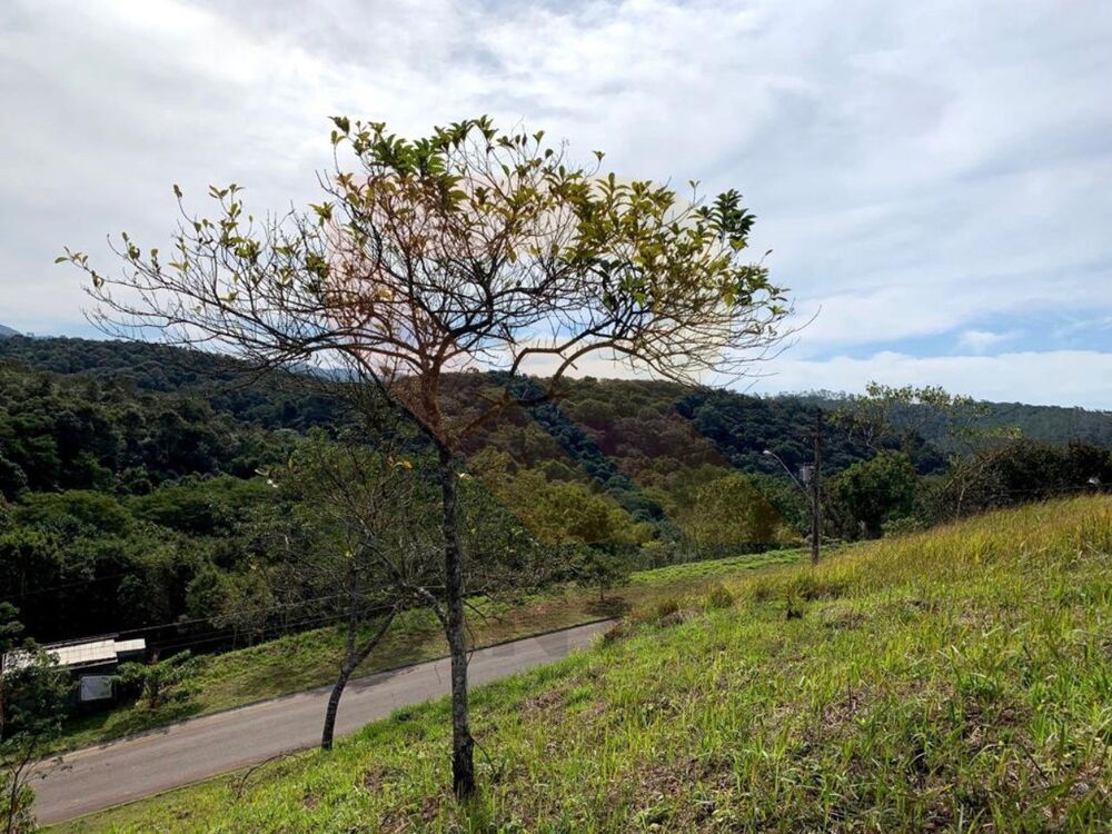 Terreno, 800 m² - Foto 3