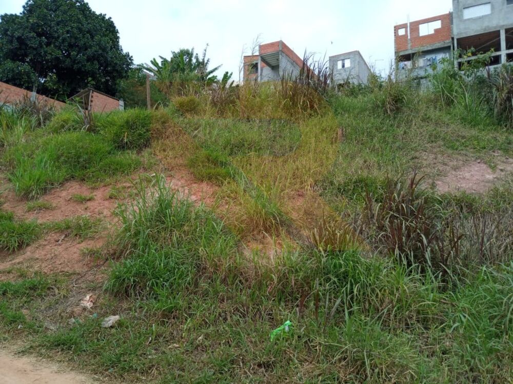 Terreno, 250 m² - Foto 1