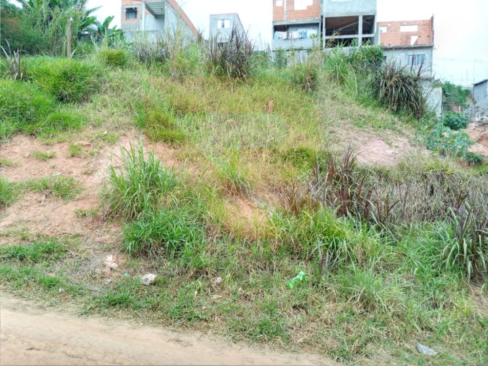 Terreno, 250 m² - Foto 2