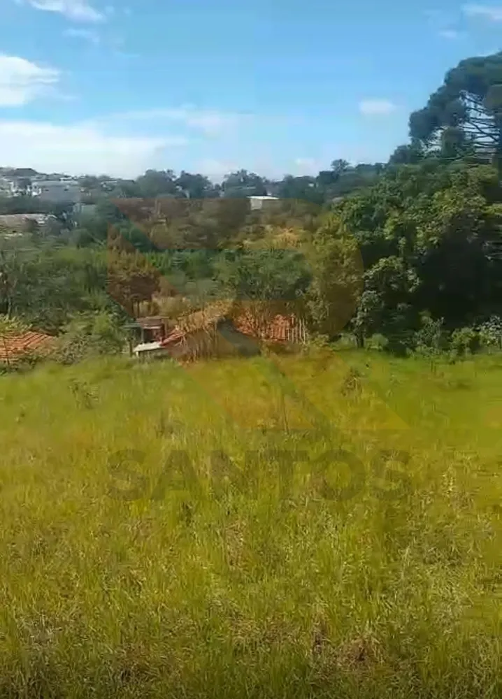 Terreno - Foto 2