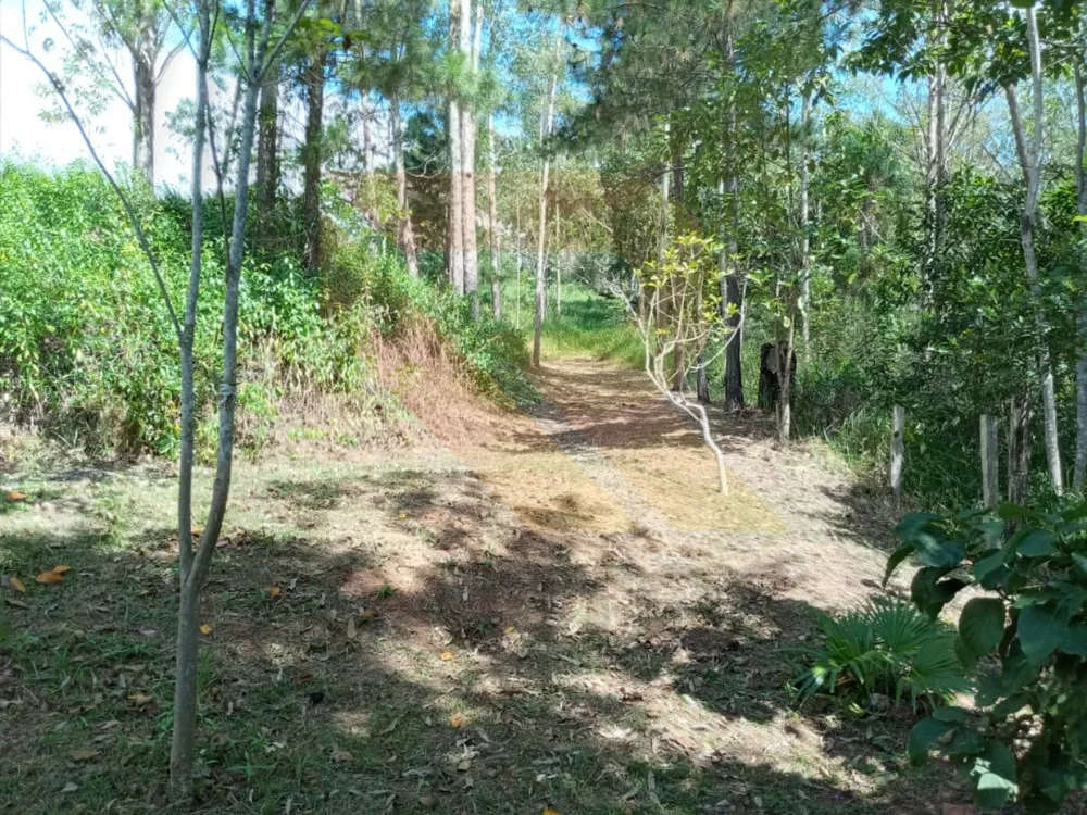 Chácara, 3 quartos - Foto 14