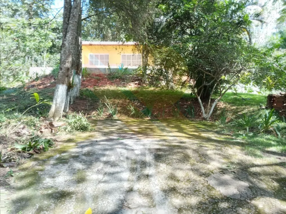 Chácara, 3 quartos - Foto 4