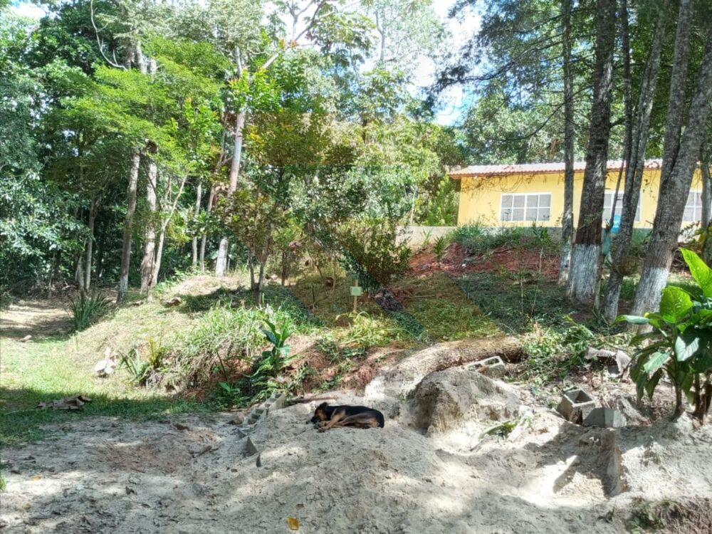 Chácara, 3 quartos - Foto 4
