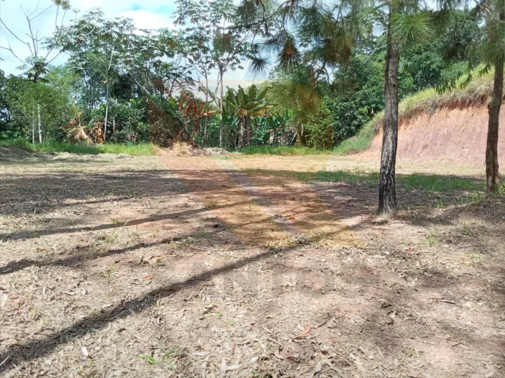Chácara, 3 quartos - Foto 15