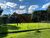 Terreno, 800 m² - Foto 3