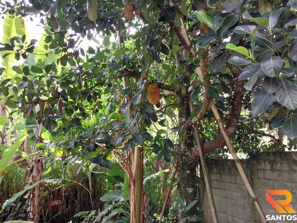 Chácara, 3 quartos - Foto 20
