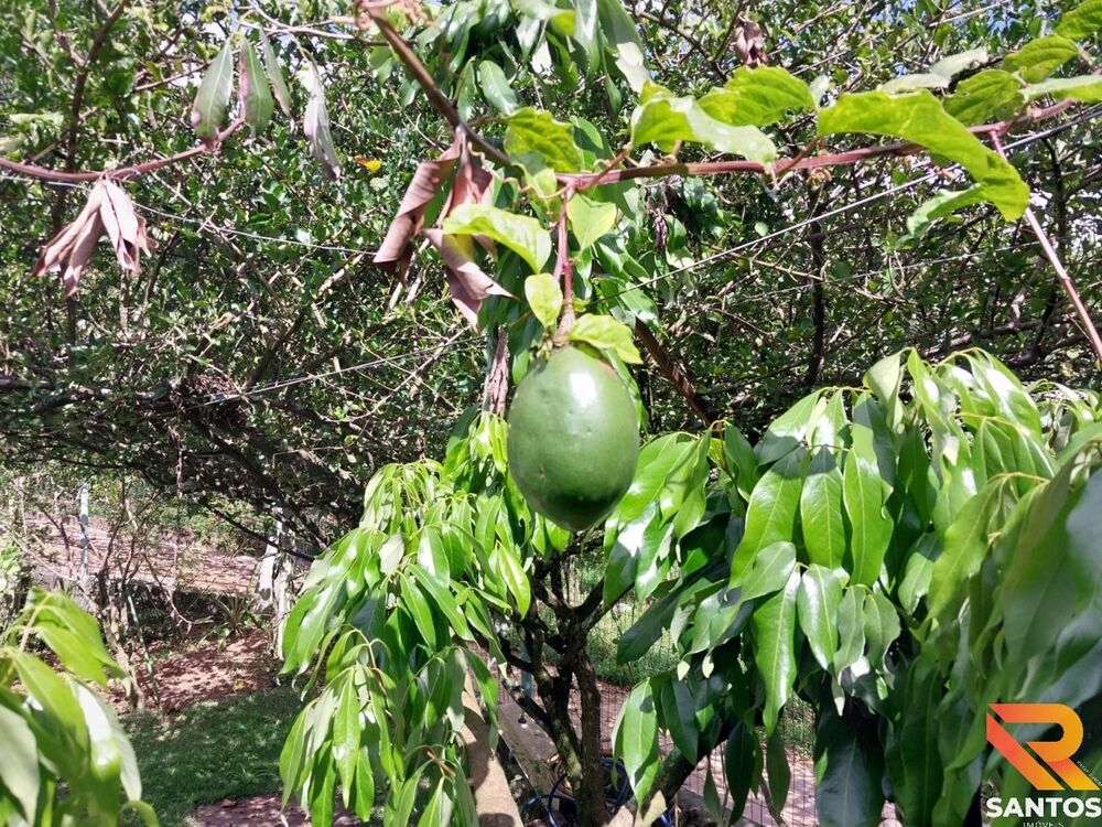 Chácara, 3 quartos - Foto 6