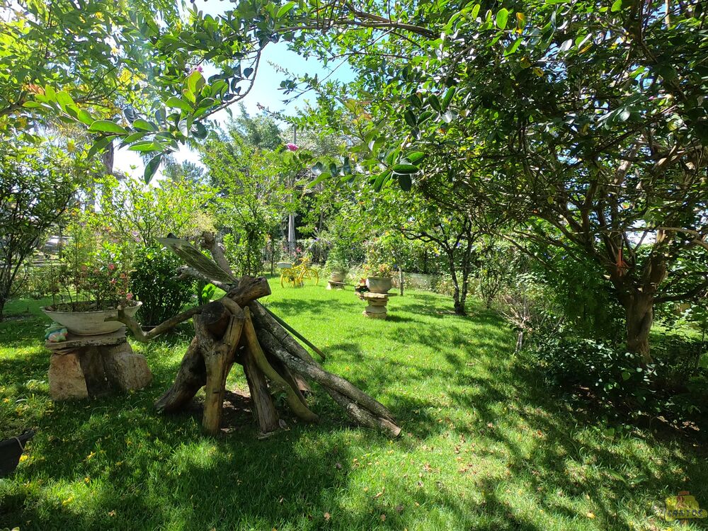 Casa, 6 quartos - Foto 7