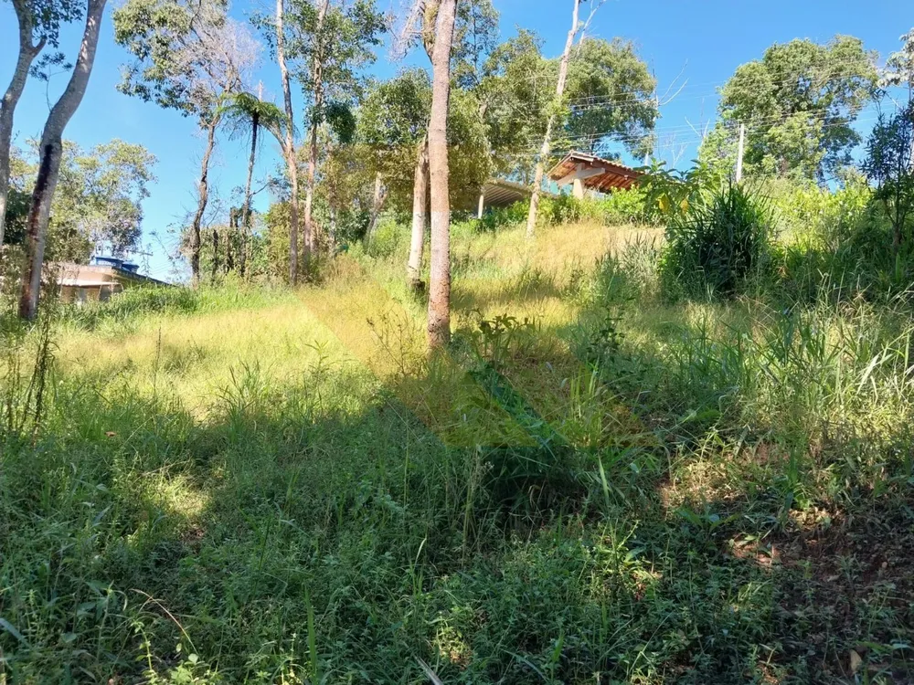 Terreno, 6290 m² - Foto 3