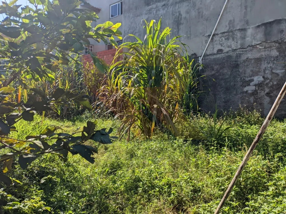 Terreno, 250 m² - Foto 3