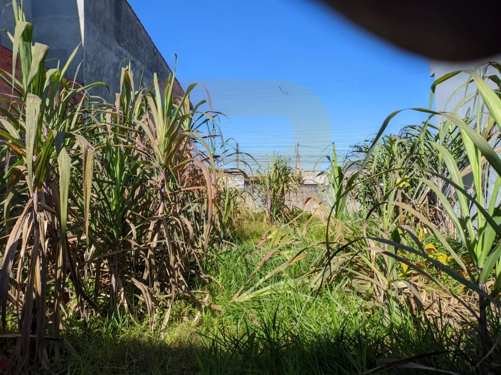 Terreno, 250 m² - Foto 2