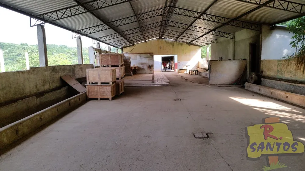 Terreno - Foto 4