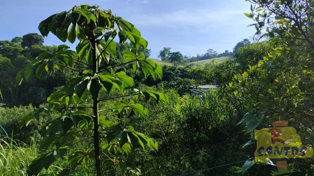 Terreno - Foto 6