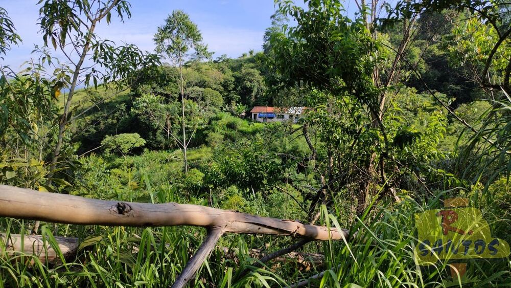 Terreno - Foto 1
