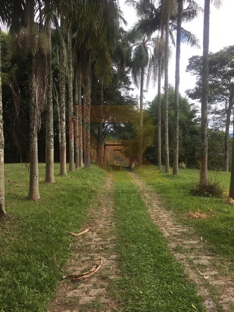 Chácara, 5 quartos - Foto 2