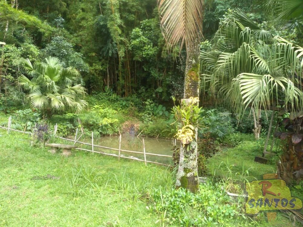Chácara, 3 quartos - Foto 2