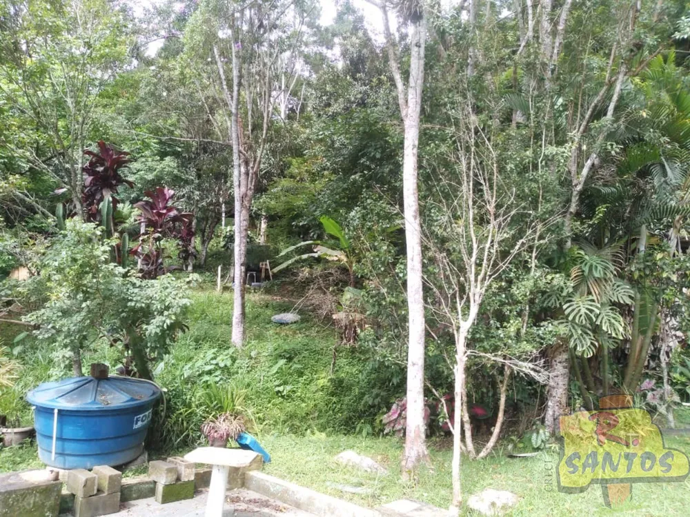 Chácara, 3 quartos - Foto 4