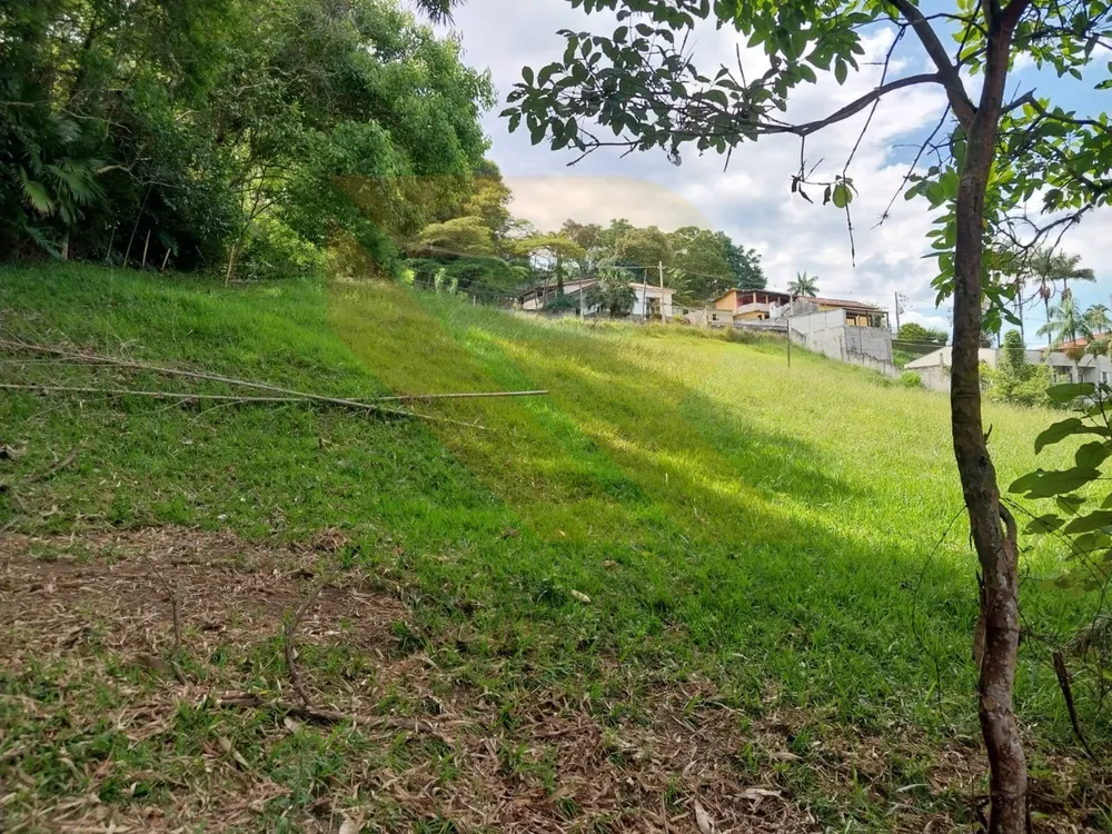 Terreno, 6358 m² - Foto 6