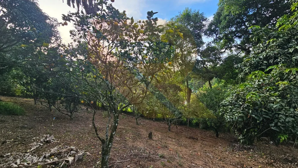 Chácara, 3 quartos - Foto 4