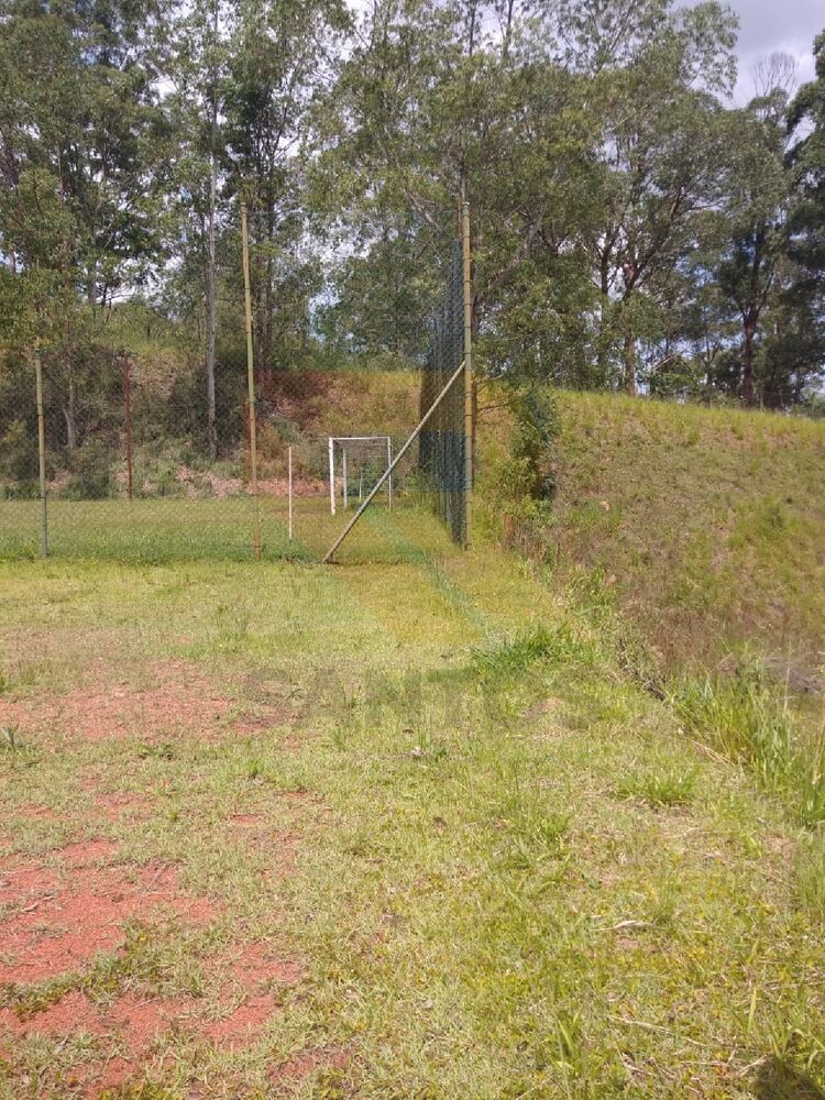 Terreno, 5165 m² - Foto 3