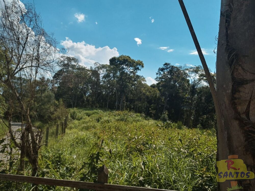 Terreno, 10000 m² - Foto 1