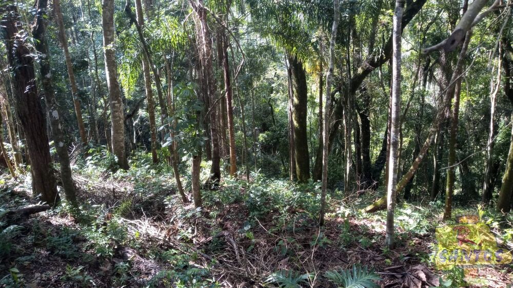 Terreno, 10000 m² - Foto 4