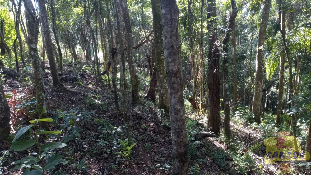 Terreno, 10000 m² - Foto 4