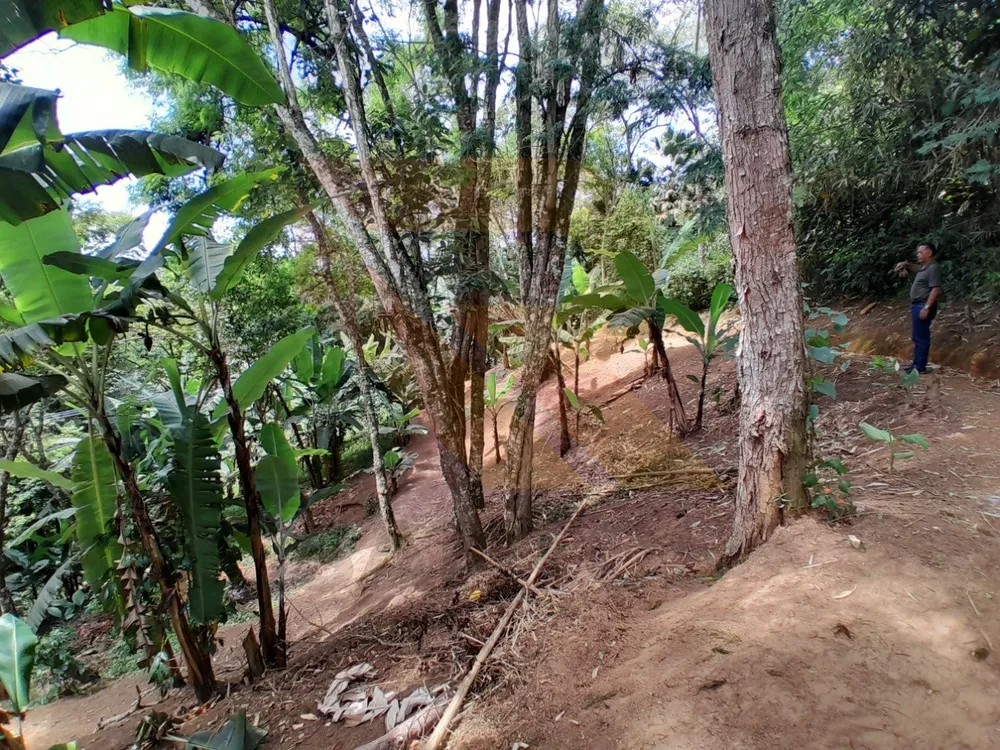 Chácara, 4 quartos - Foto 16