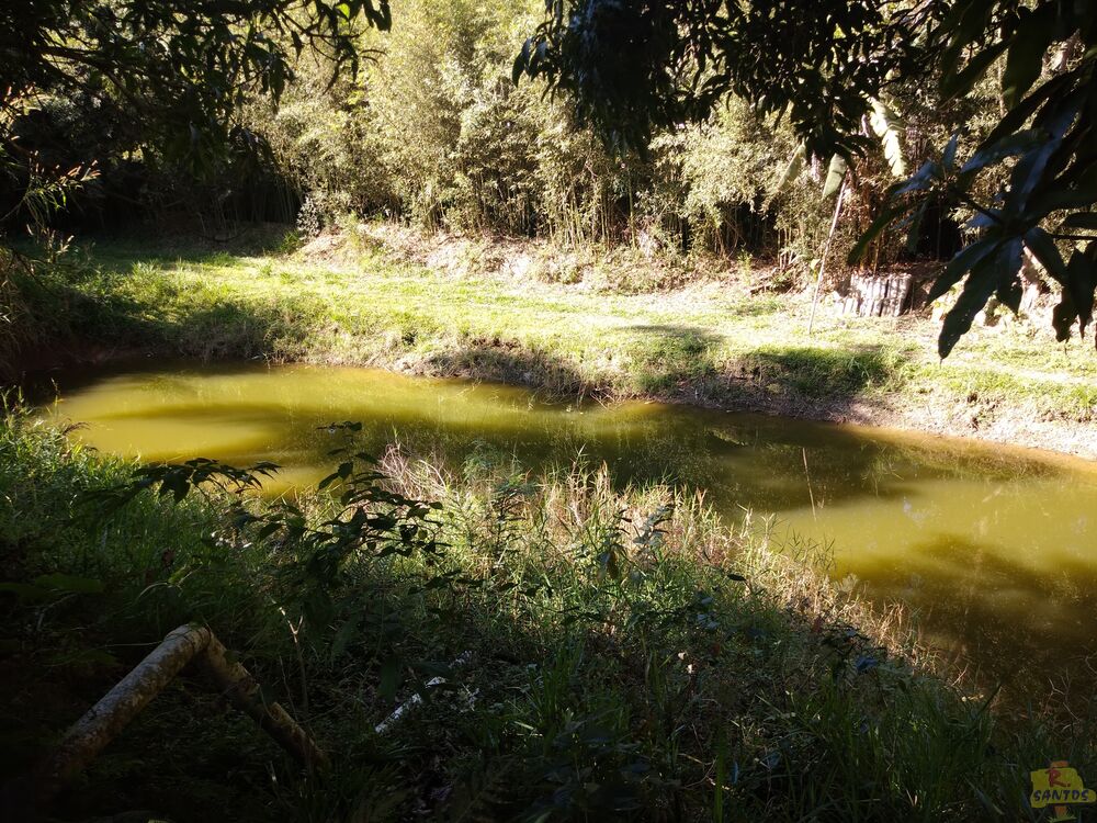 Chácara, 3 quartos - Foto 3