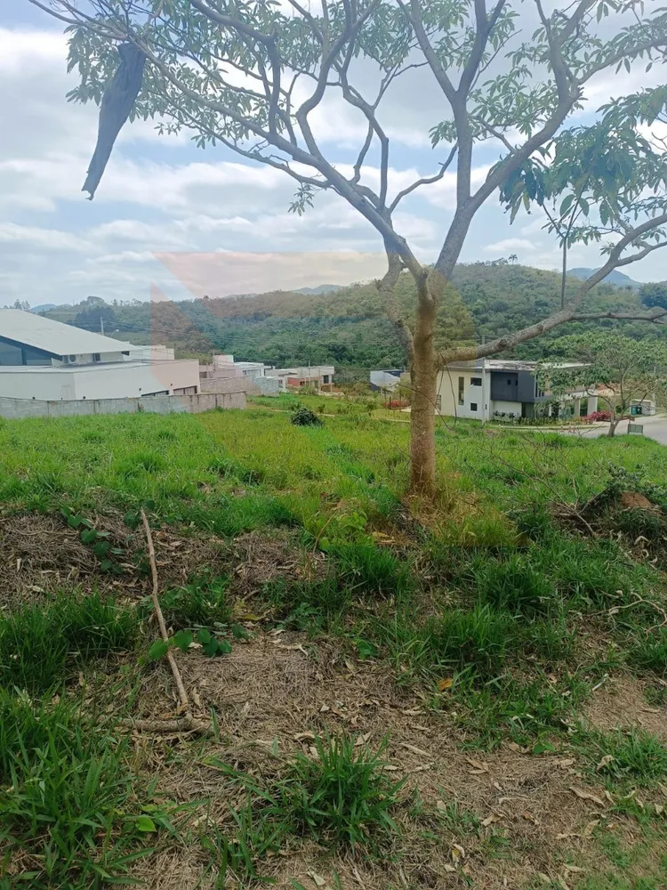 Terreno, 1444 m² - Foto 5