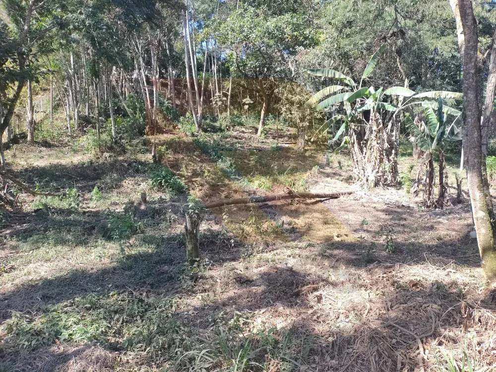 Terreno, 1060 m² - Foto 2