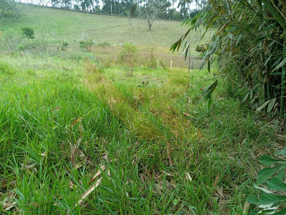 Sítio, 4 quartos - Foto 12