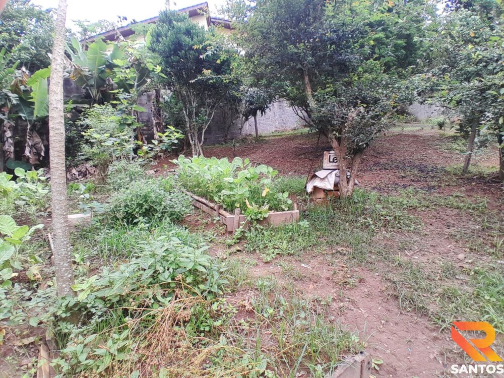 Chácara, 3 quartos - Foto 12