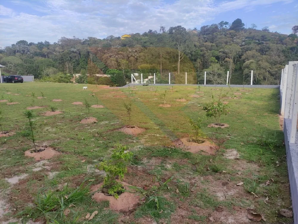 Terreno, 2492 m² - Foto 6