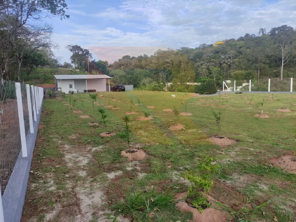 Terreno, 2492 m² - Foto 9