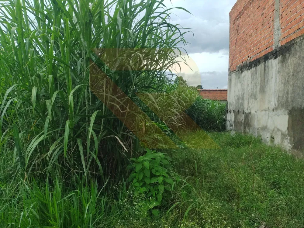 Terreno, 250 m² - Foto 3