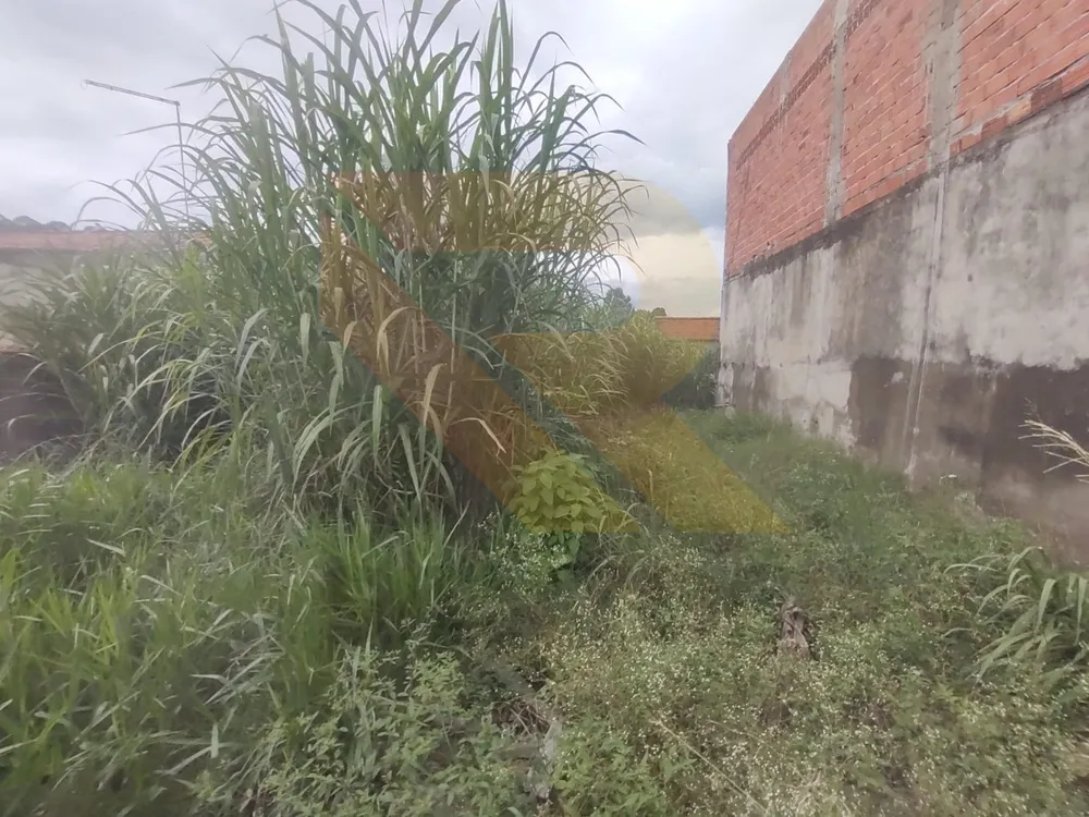 Terreno, 250 m² - Foto 4