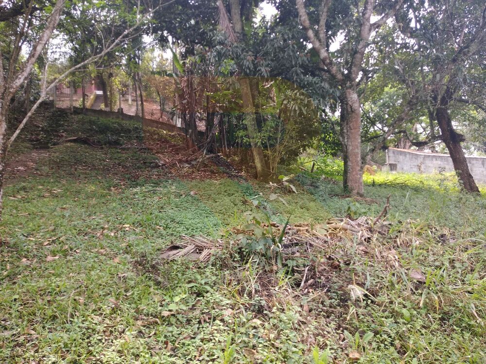 Terreno, 980 m² - Foto 2