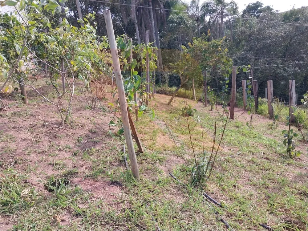 Terreno, 419 m² - Foto 2